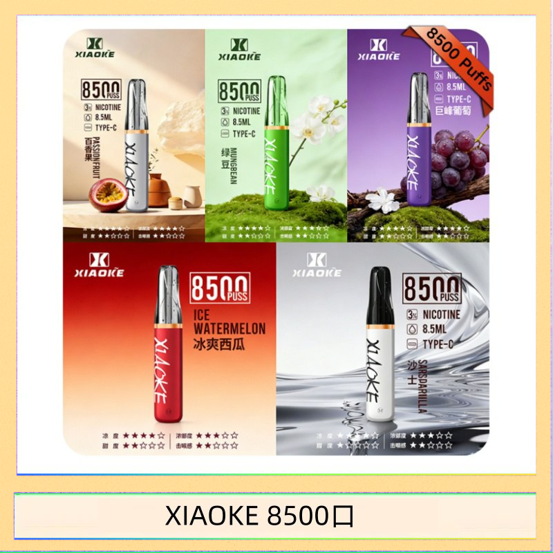 梟客XIAOKE一次性電子菸拋棄式8500口