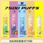 梟客XIAOKE一次性電子菸拋棄式7500口
